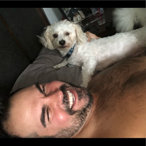 Meet your Posher, Tobin - Picture 8 of 8